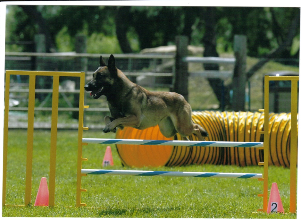 celejumping