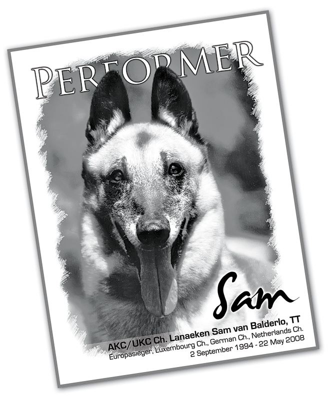 performer_cover_sam